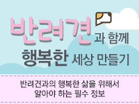 코스이미지